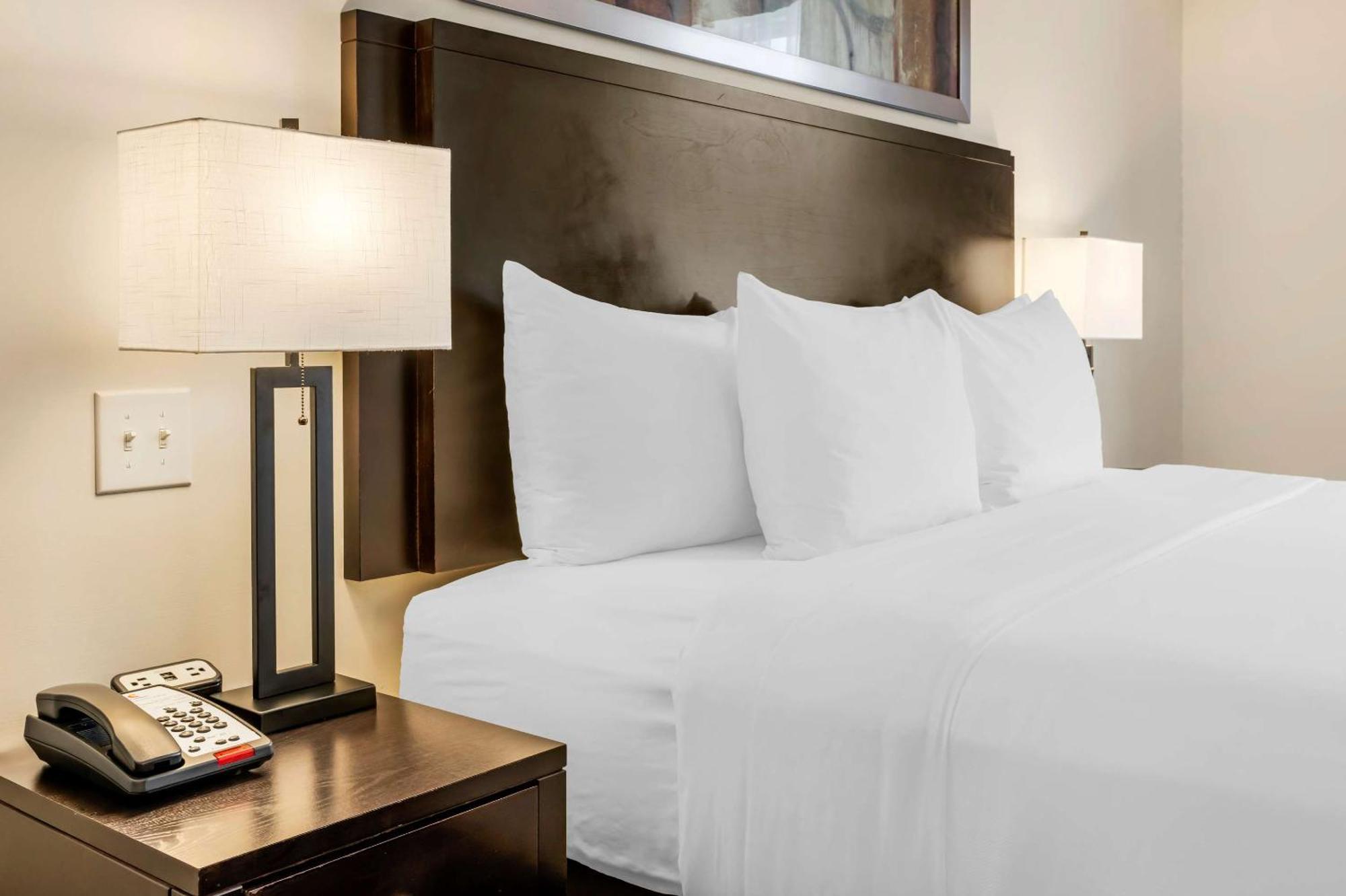 Timberlea Comfort Hotel Bayer'S Lake מראה חיצוני תמונה