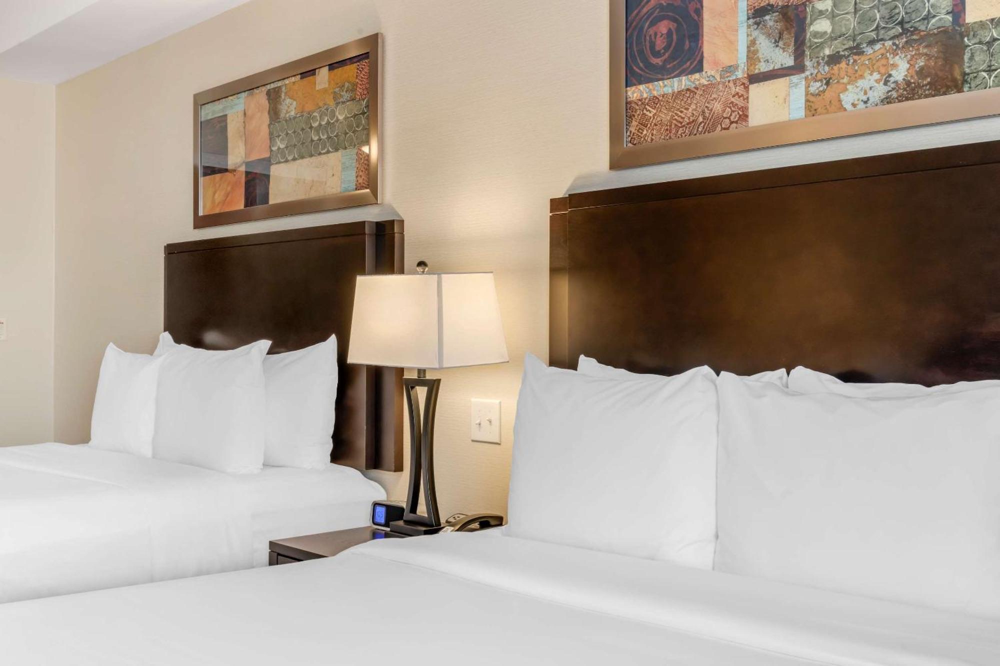 Timberlea Comfort Hotel Bayer'S Lake מראה חיצוני תמונה